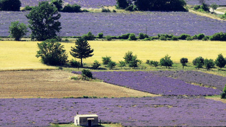 Pays de Sault en Provence