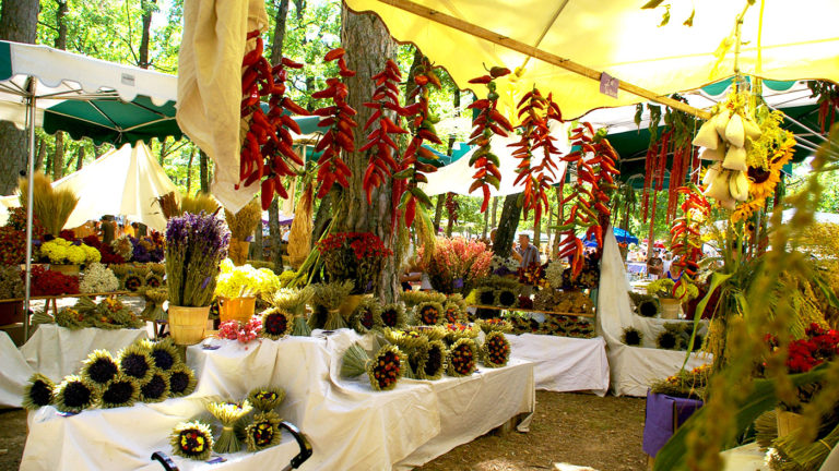 Bouquets Fête de la lavande