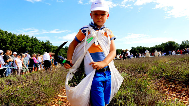 Concours junior coupe traditionnelle