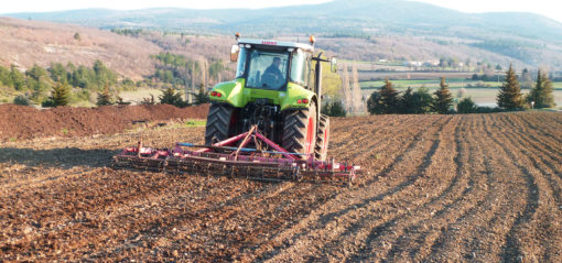 Préparatif plantation lavande au printemps