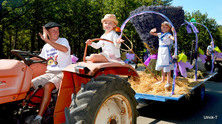 Char Fête de la lavande