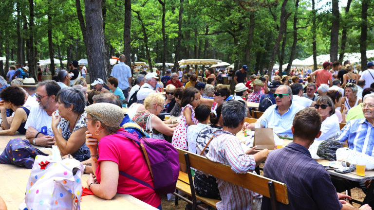 Coin bar Fête de la lavande