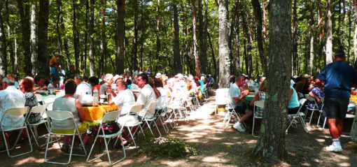 Repas champêtre pour la Fête de la lavande