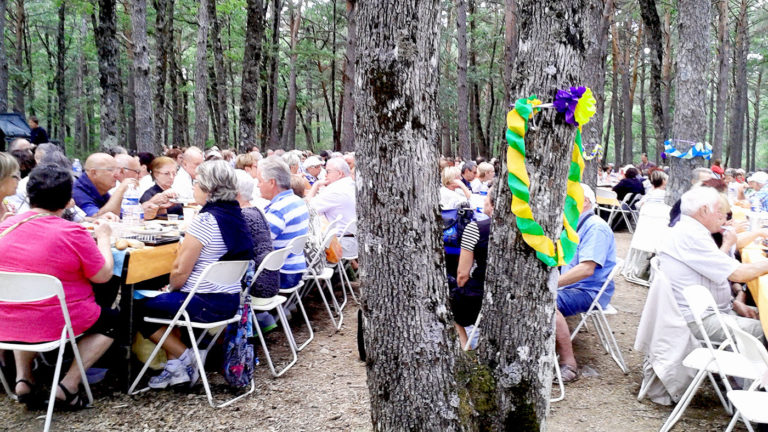 Repas champêtre bois du Defends